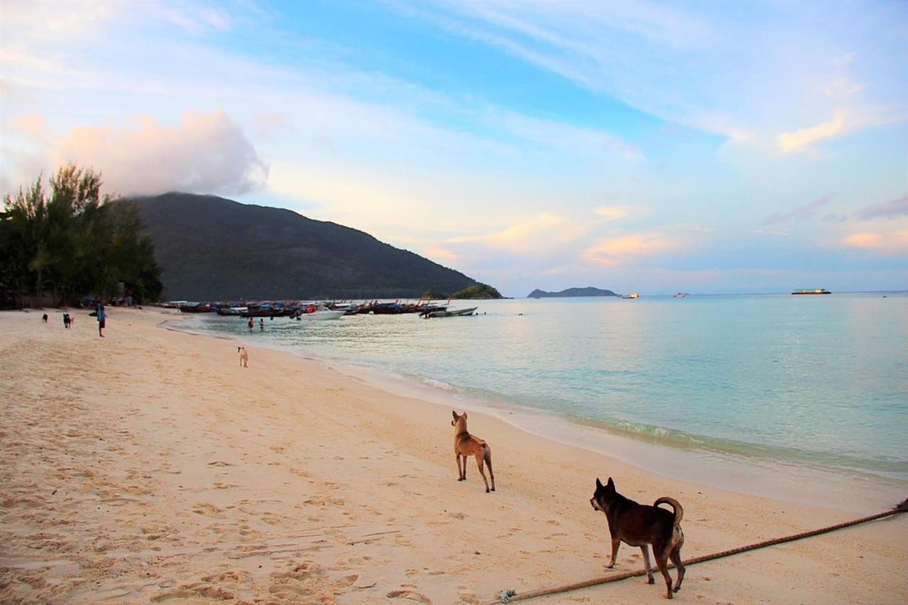 Sunflower Guesthouse And Animal Rescue - Koh Lipe Extérieur photo