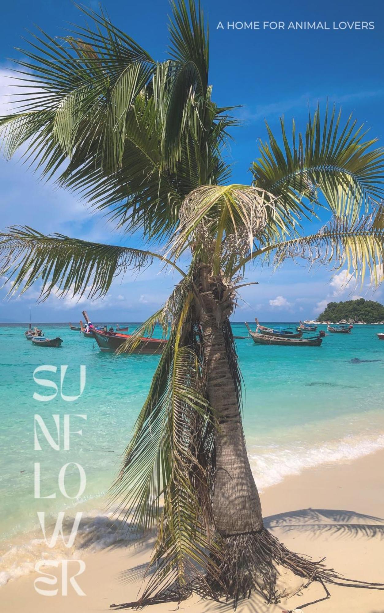 Sunflower Guesthouse And Animal Rescue - Koh Lipe Extérieur photo